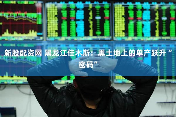 新股配资网 黑龙江佳木斯：黑土地上的单产跃升“密码”
